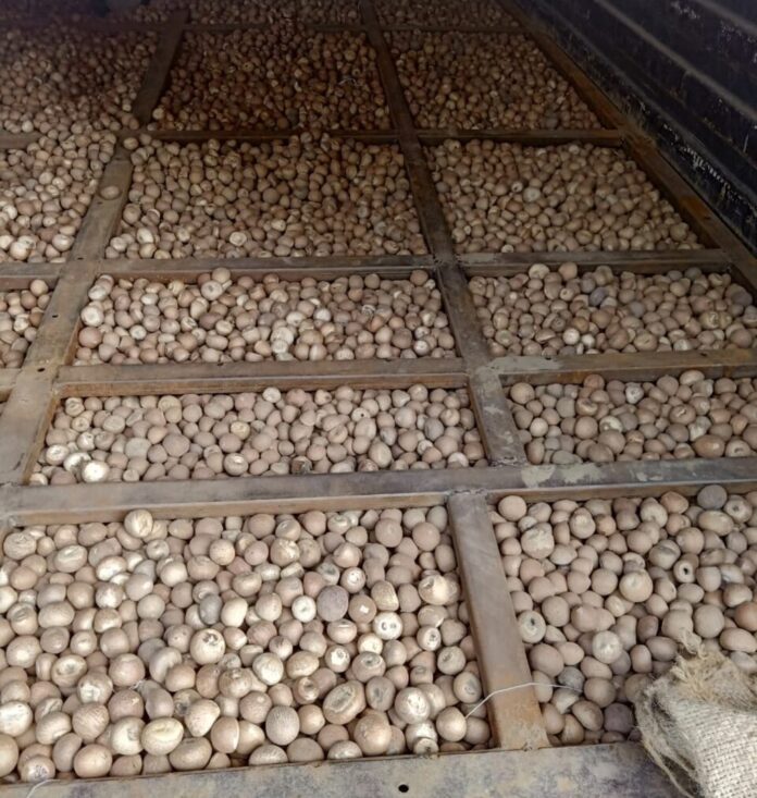 Burmese Betel Nut seized on Mizoram,-Tripura Border