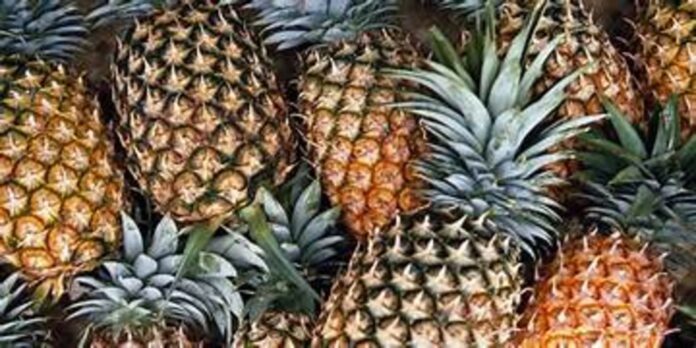 Pineapple exported to UP