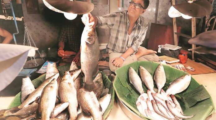 Initiatives for Fishery production in Tripura
