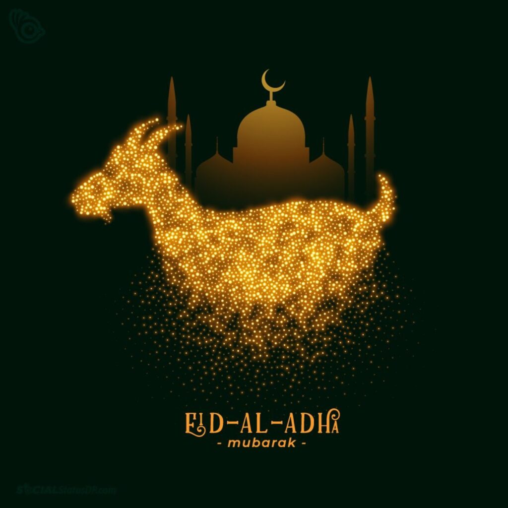Embracing the Spirit of Eid-El-Kabir: A Joyful Celebration of