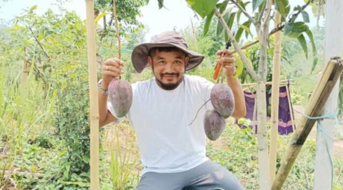 Pragyan Chakma in his Orchard