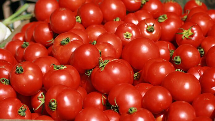 Tomatoes