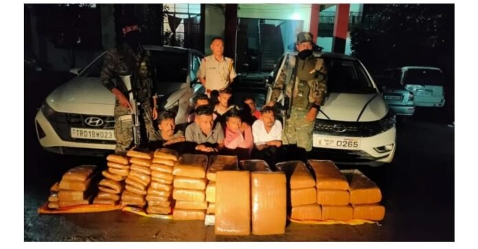 Seven arrested with 250kg of marijuana