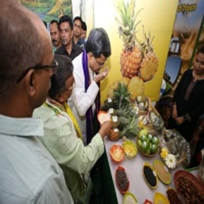 Tripura CM Manik Saha with Pineapples