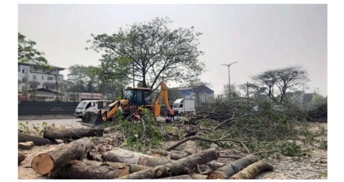 Tree felling for infrastructure projects