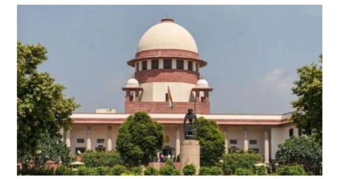 SC grants interim protection to lawyer