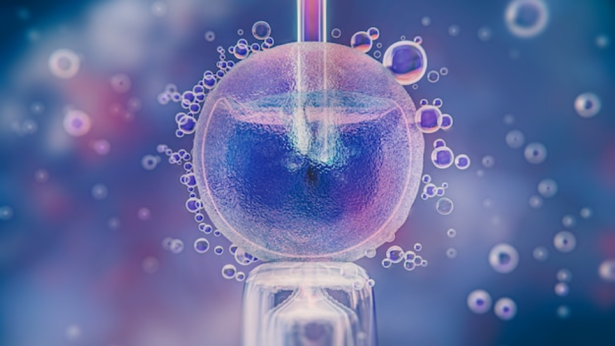 Oocyte Transfer and Gamete Intrafallopian Transfer in The Mare | PDF |  Sperm | Human Chorionic Gonadotropin