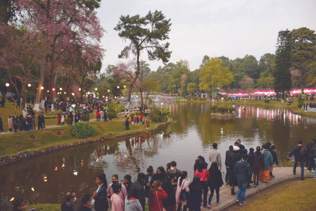 Cherry Blossom Extravaganza Unfolds At Shillong Festival Borok Times