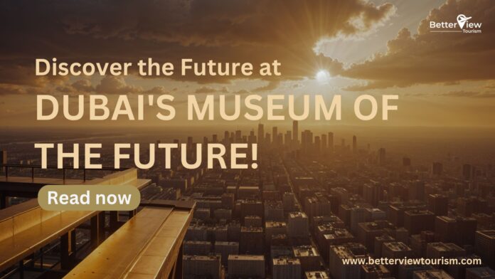 Check the future museum ticket price and plan your visit to Dubai's Museum of the Future to explore groundbreaking exhibits and futuristic innovations
