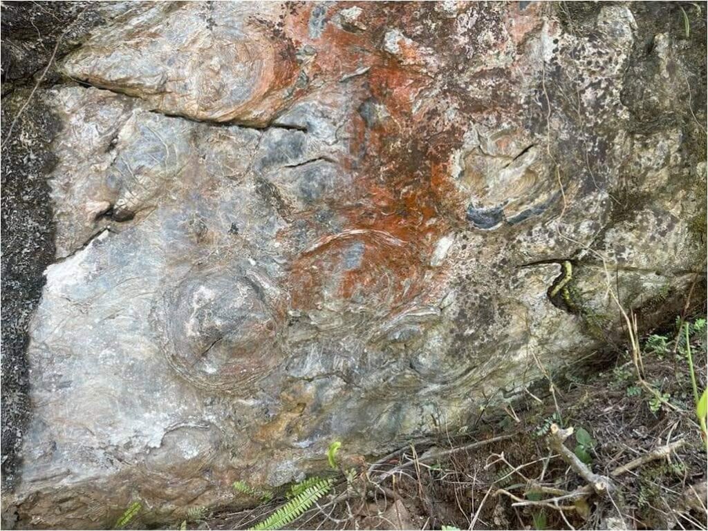 Sikkim CM Announces Development Of Fossil Park In 1.5-Billion-Year-Old Stromatolite