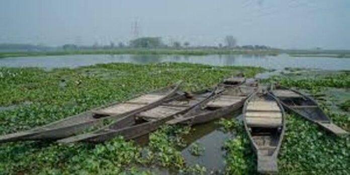 Explore Assam’s plan to revive 129 wetlands to mitigate flood risks, enhance biodiversity, and promote sustainable water management. Learn how the initiative aims to protect the environment and local communities.