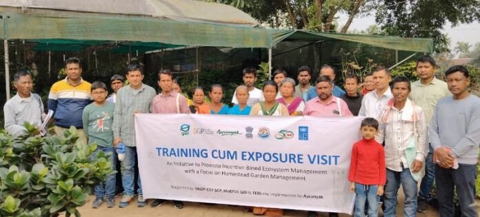 Assam: Udalguri farmers explore nursery management as livelihood options.