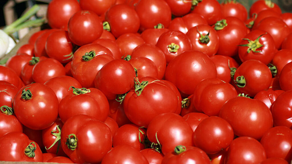 Tomatoes