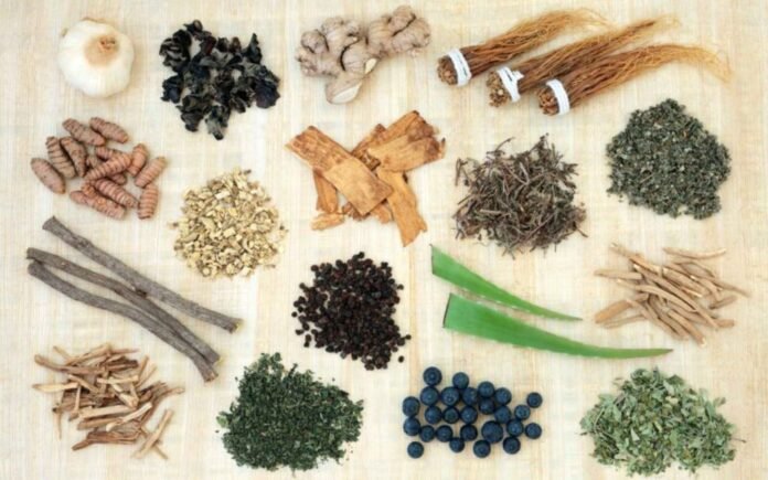 Ayurvedic Herbs for Hormonal Balance