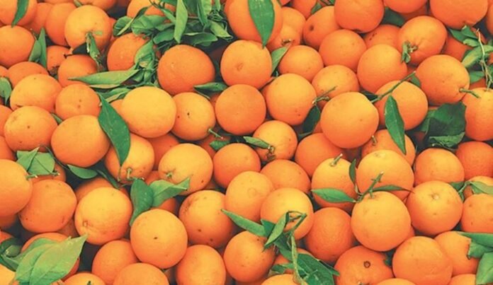 A lot of Oranges