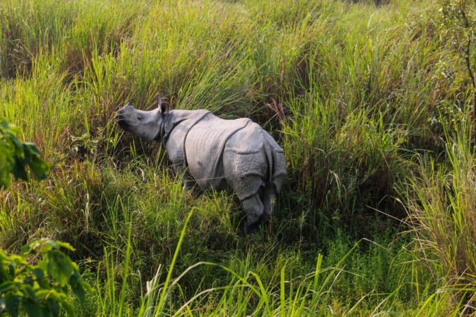 IMG_5030_01 national park