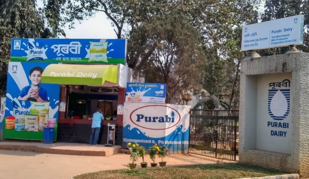 Purabi dairy