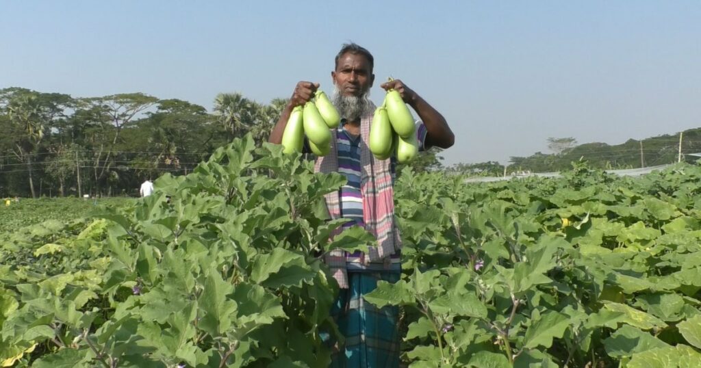 Organic Farming