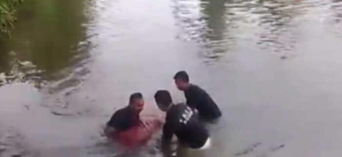 AA1pliEn body rescuing