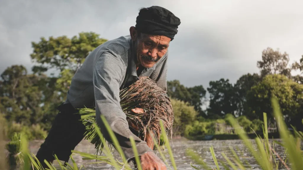 farmer