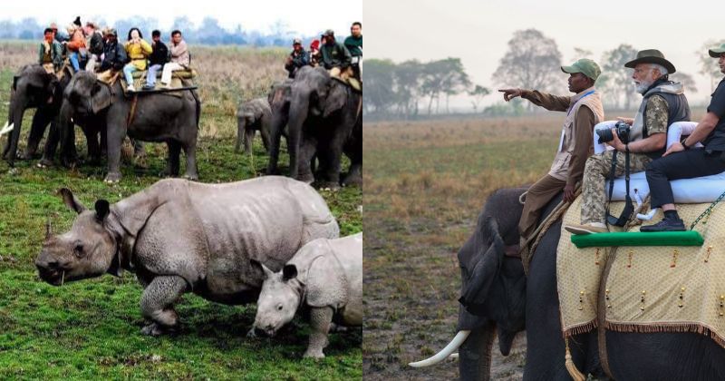 PM Modi in Kaziranga