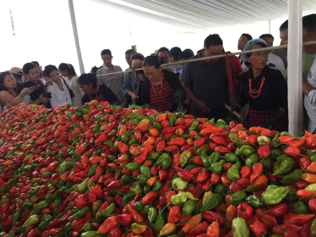 Nagaland's Seiyhama Village Hosts 3rd Edition Of Naga King Chilli Festival