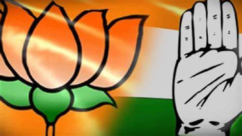 BJP & Congress flag