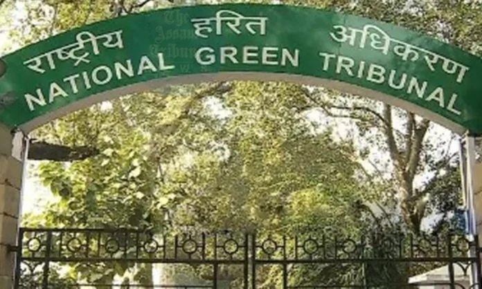 NGT directs Assam Chief Secretary to submit comprehensive affidavits on forest encroachment by April 8.