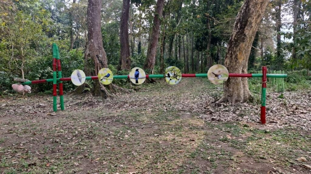 Gate at the entrance to Panbari Reserve Forest