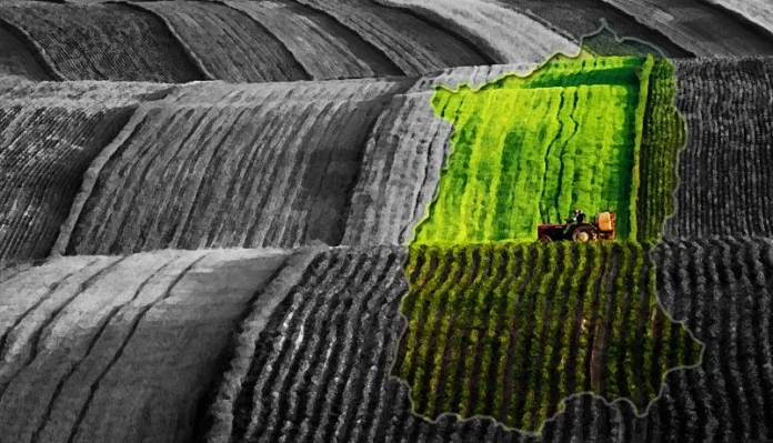 Sikkim MP urges focus on education, organic farming and tribal rights in Parliament.