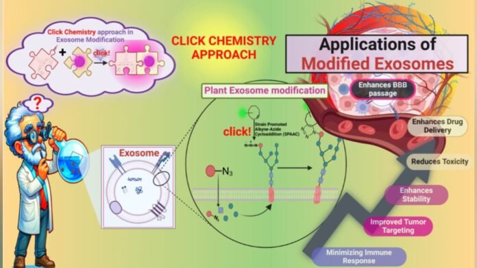 Click-Modified Exosomes Pave the Way for Targeted, Personalized Therapy