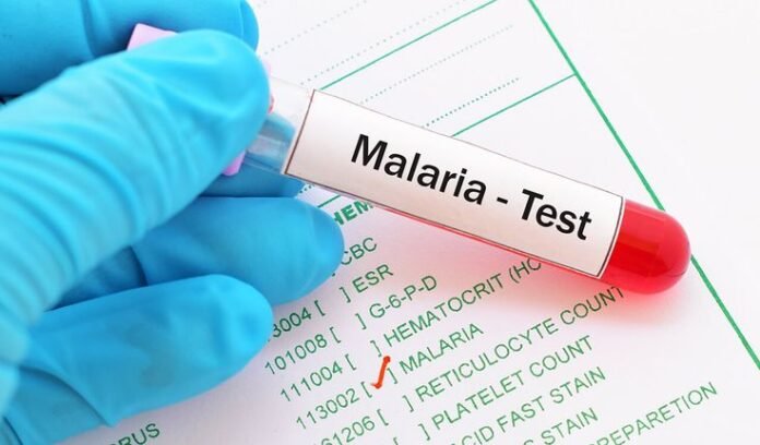 malaria cases in Assam
