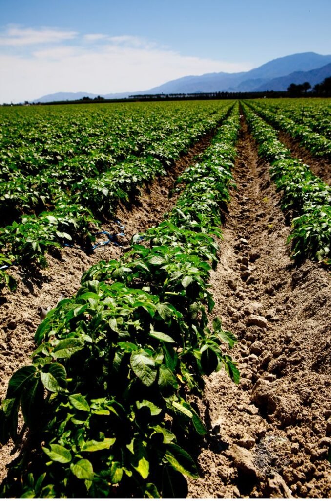 climate-smart farming Nagaland