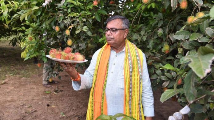 Farmers in Tripura cultivating exotic fruits to boost income