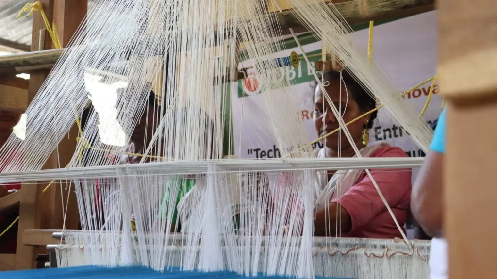 Sustainable entrepreneurship in handloom sector