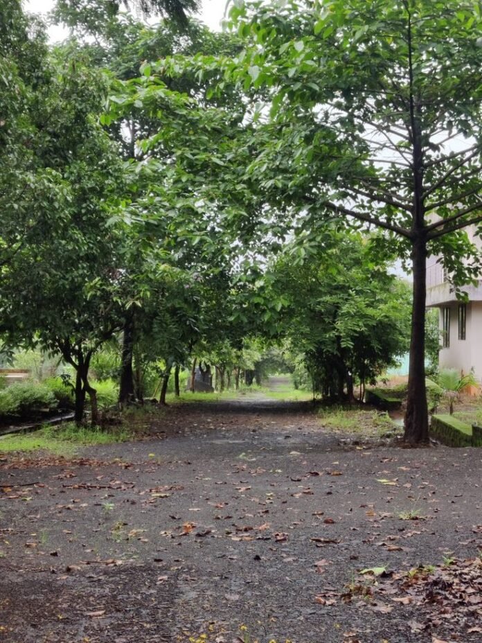 Paharpur forest diversion