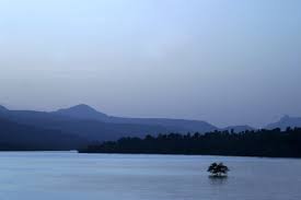 Meghalaya Govt Official Swept Away by Ganol River, Search On