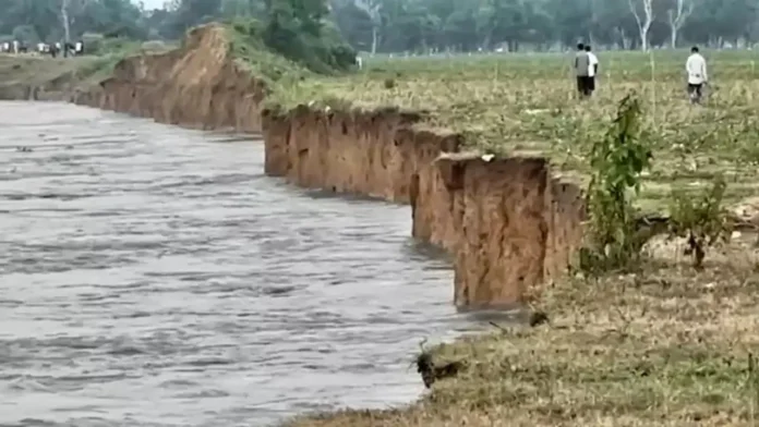 Brahmaputra erosion Balijan Tea Estate