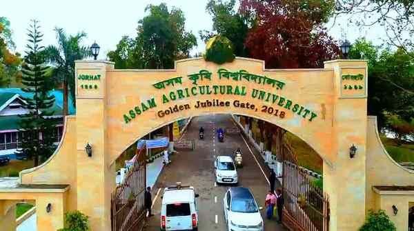 AAU backs Assure Biovention