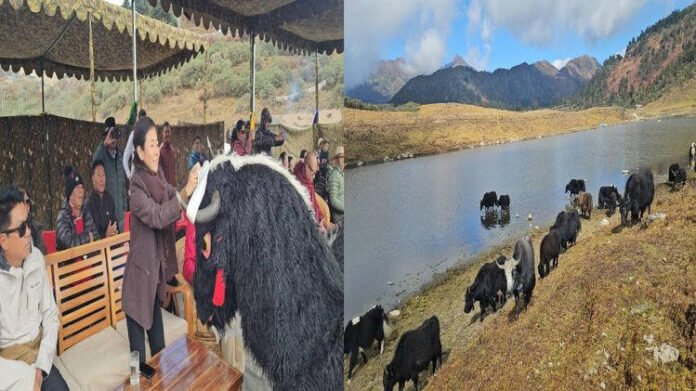 Arunachal: Pangkangteng Tso comes alive as Yak Mela 3.0 showcases Brokpa legacy