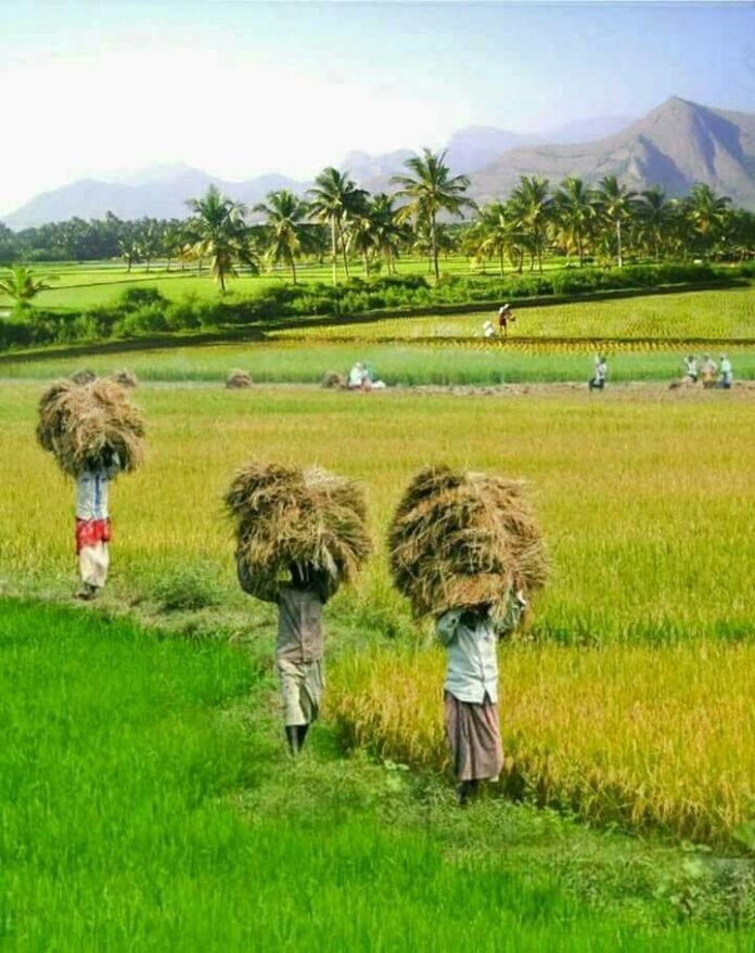 Nagaland Cooperative Conclave Kohima