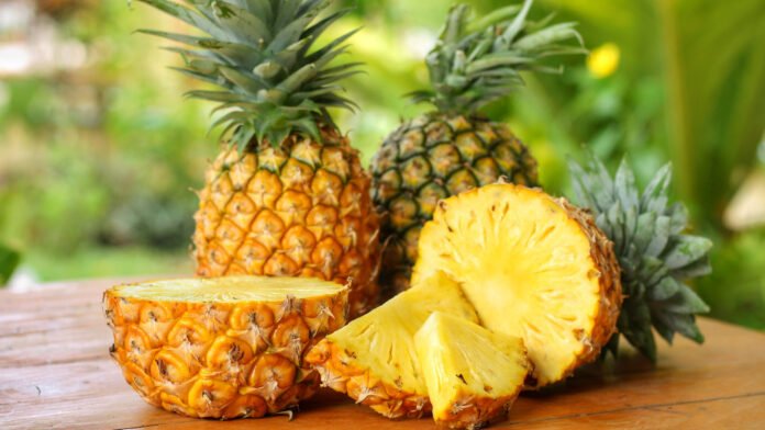 Tripura to set up pineapple auction centre