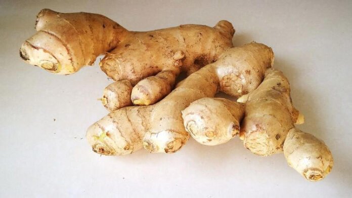 Mizoram to begin Ginger, Broomstick procurement from Feb 2 under Bana Kaih scheme