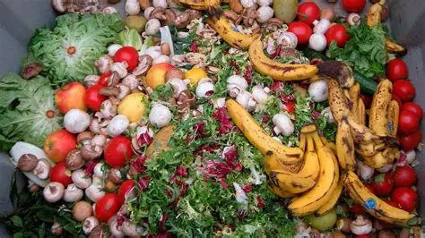 Tripura inaugurates facility to convert banana waste into value-added products