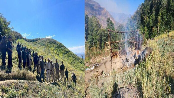 Manipur: 30 acres of illegal poppy cultivation destroyed in two-day crackdown across two hill districts