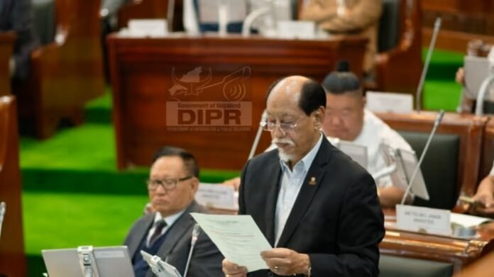 nagaland CM