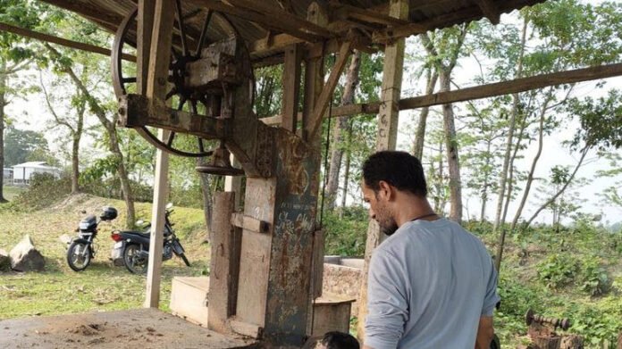 Illegal timber mill busted in Assam's Dhubri riverine belt, operators flee scene