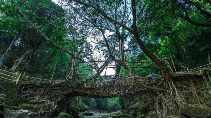 Meghalaya elevates Khasi and Garo to official language status, eyes national recognition