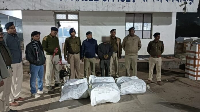 Agartala Railway Police arrest two youths in cannabis seizure case