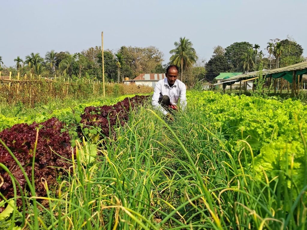 Farmers practicing natural farming methods in Tripura agricultural fields under a state sustainability mission.